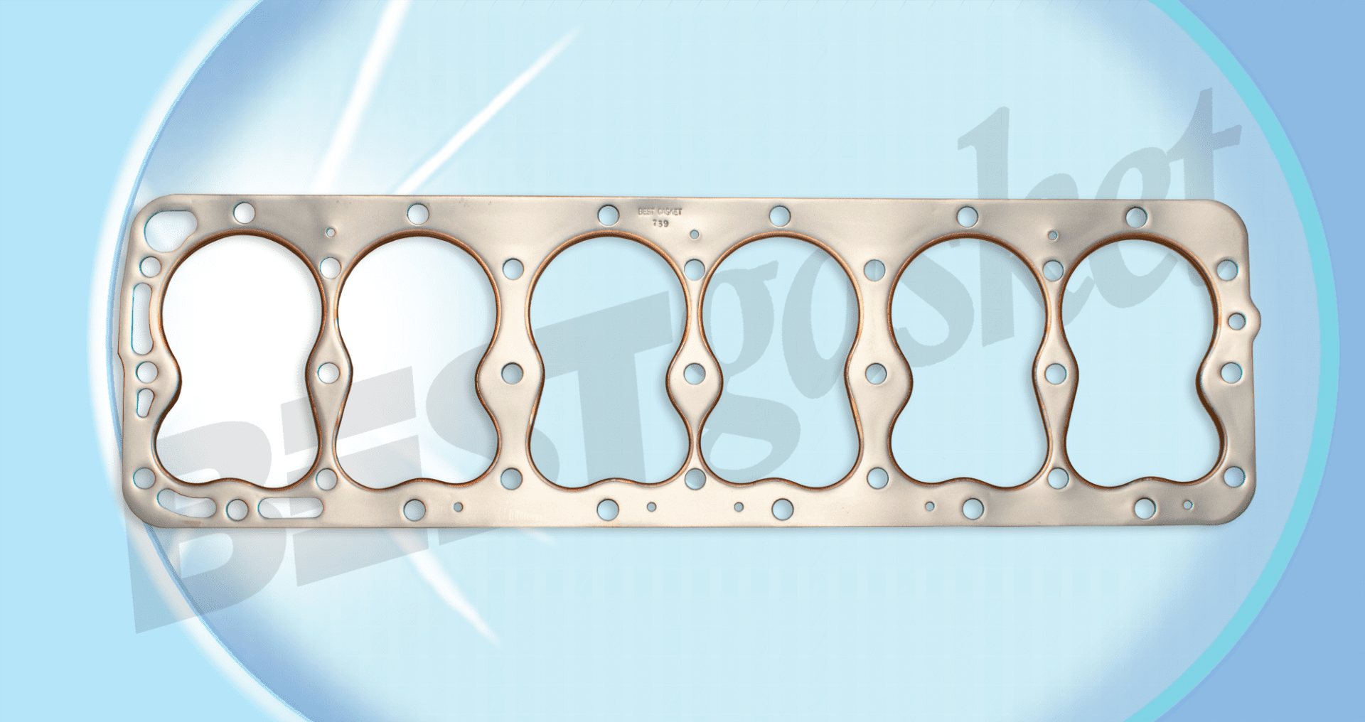 A set of gaskets for a car engine.